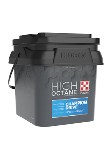 High Octain Champion Drive