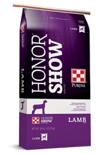 Honor Show lamb