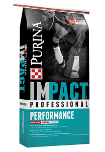 Impact Professional Performance