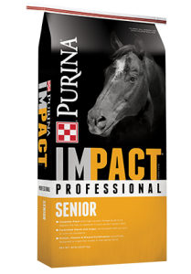 Impact Senoir