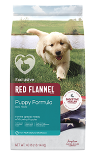 RF Puppy