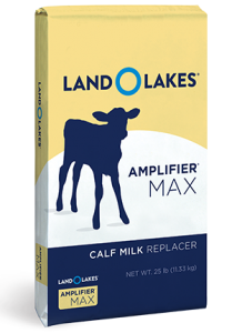amplifire Max