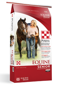equine senior