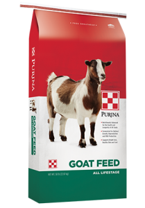 goat feed