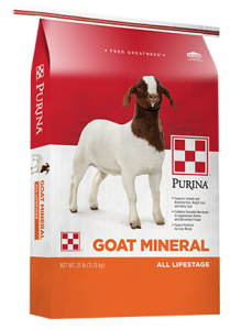 goat mineral