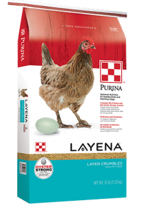 layena 1