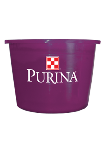 purple tub