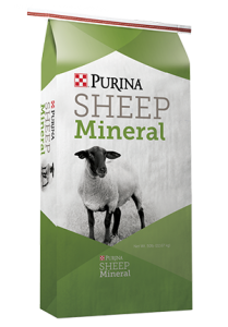 sheep mineral