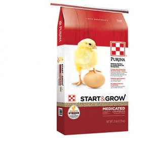 start and grow chicken