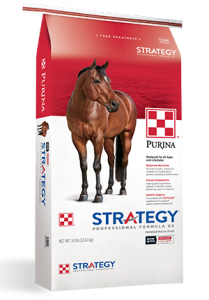 stratagy