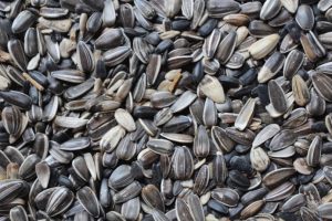 sunflower seeds-2